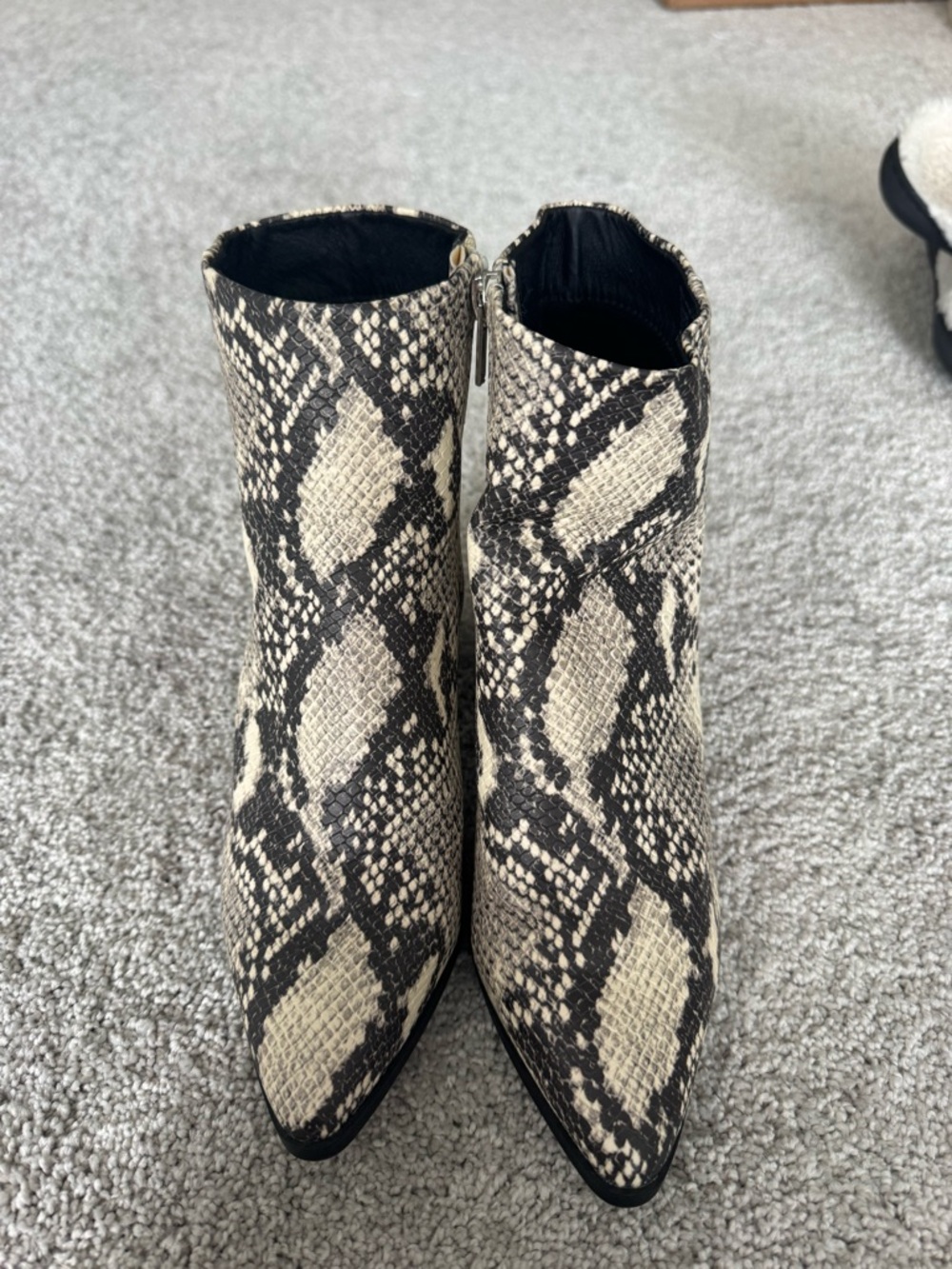 Madden Girl Snake-Print Pointed Toe Ankle Boots - Black & Cream
